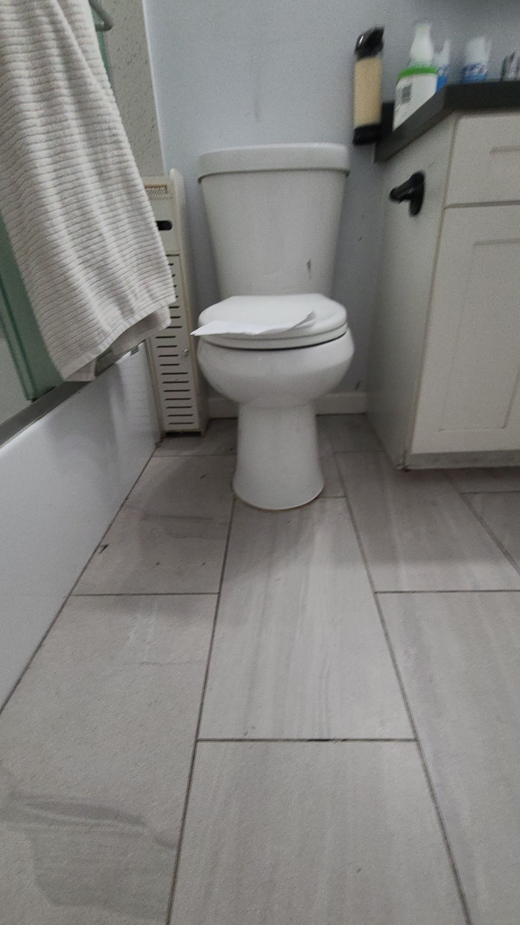 Toilet Installation or Replacement