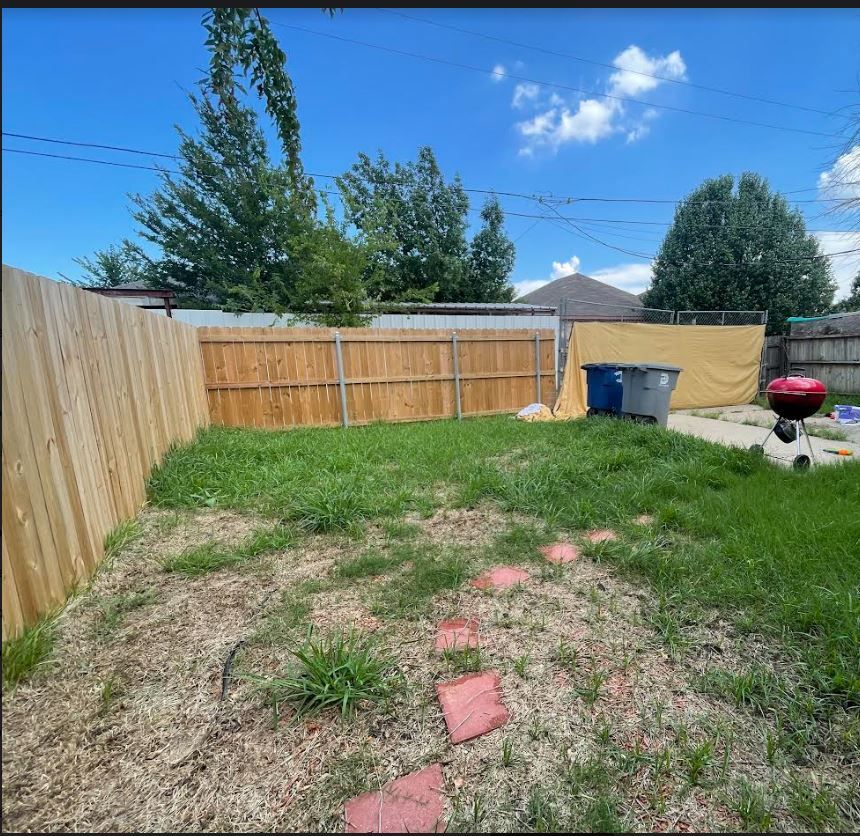 Backyard Before