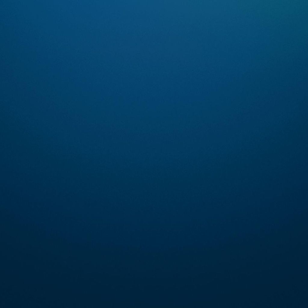 Blue Bonnet Renovation