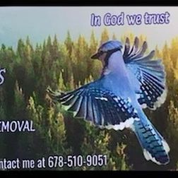 Blue Jay Tree Services LLC