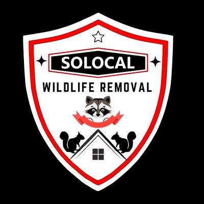 Avatar for Solocal Wildlife Removal