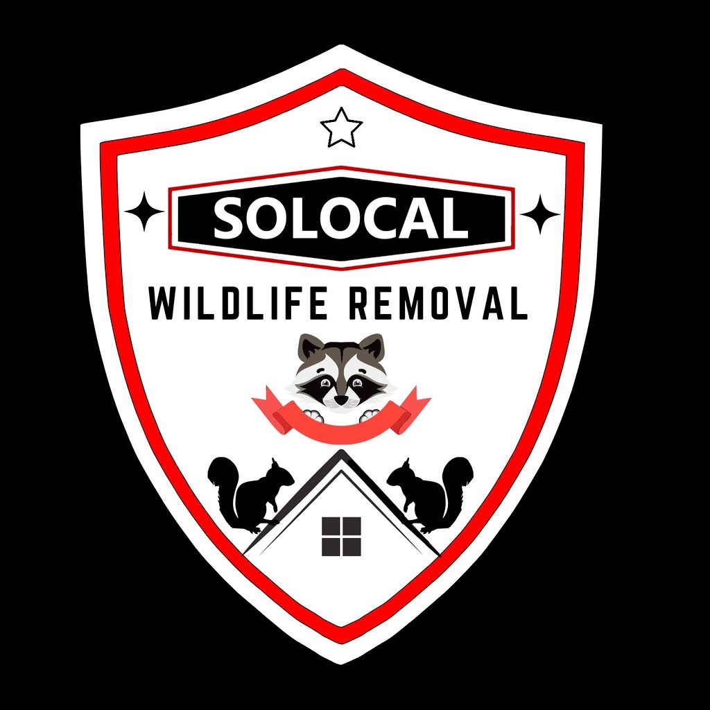 Solocal Wildlife Removal
