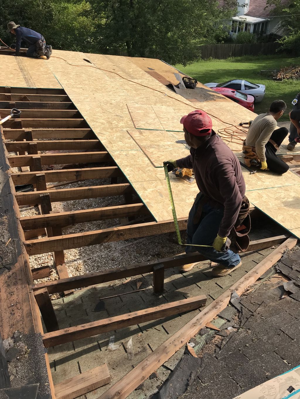 Projects and media