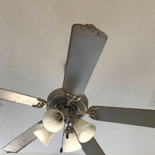 Dante made our ceiling fans shining after their cl