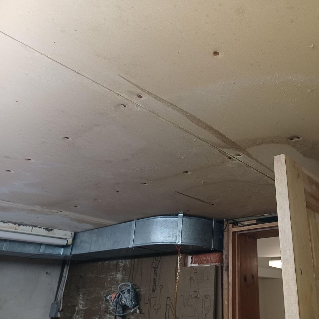 Tailored Mold Inspections