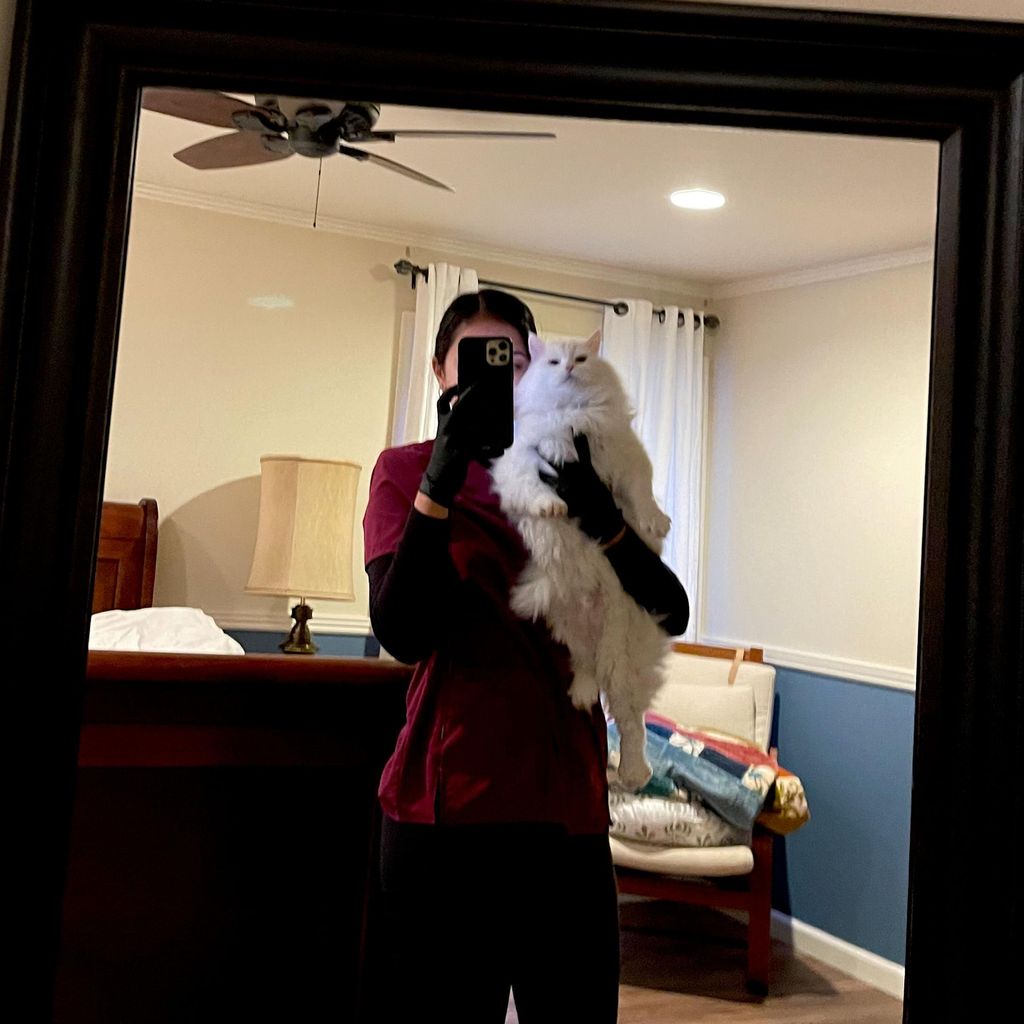 303 Cleaning Service LLC