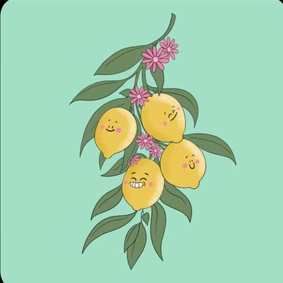 Avatar for Lemon Cleaning Service
