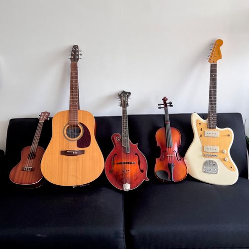 Additional String Instruments I teach and perform