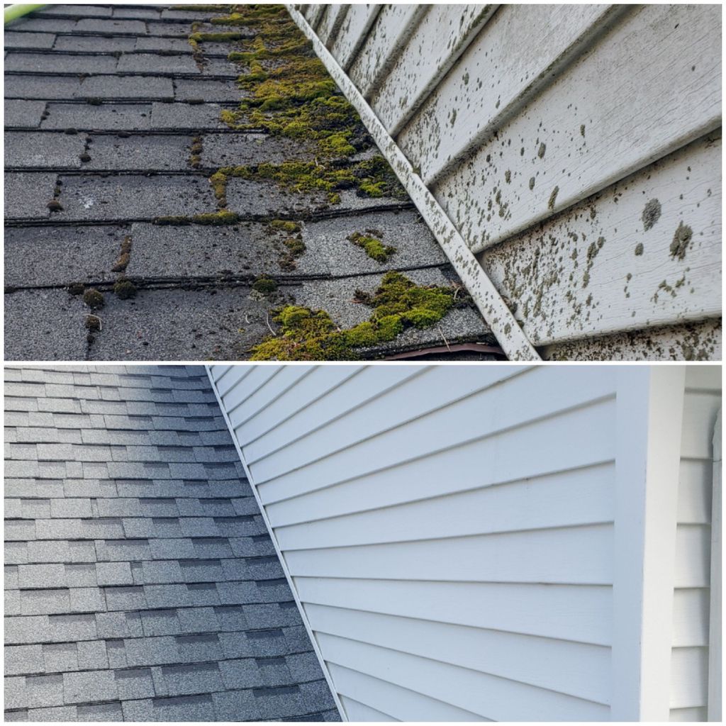 Before and After 