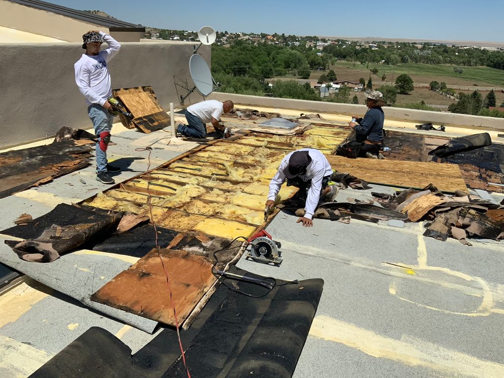 Projects and media