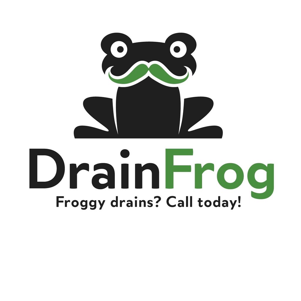 Drain Frog