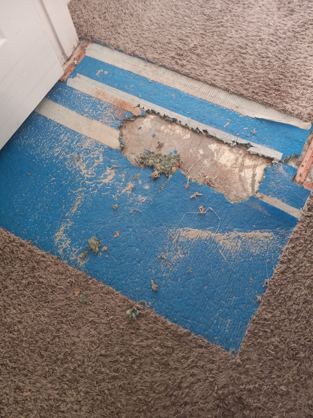 Carpet Repair or Partial Replacement