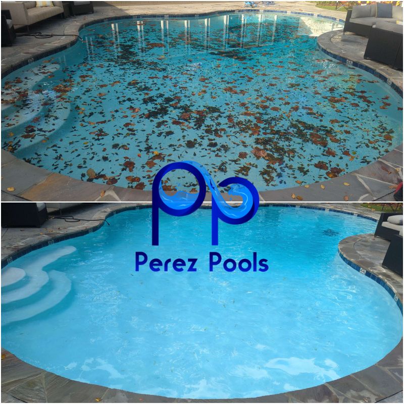 Pool Vacuum and Cleaning