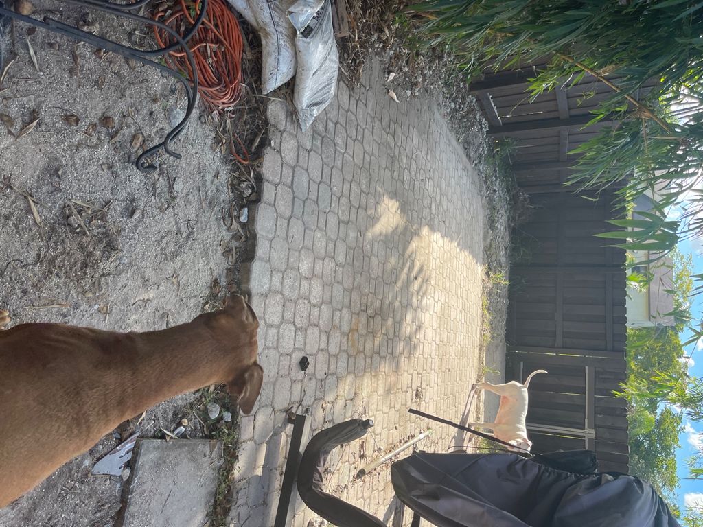 Customer photos