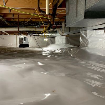 Avatar for Mi-Crawlspace, llc