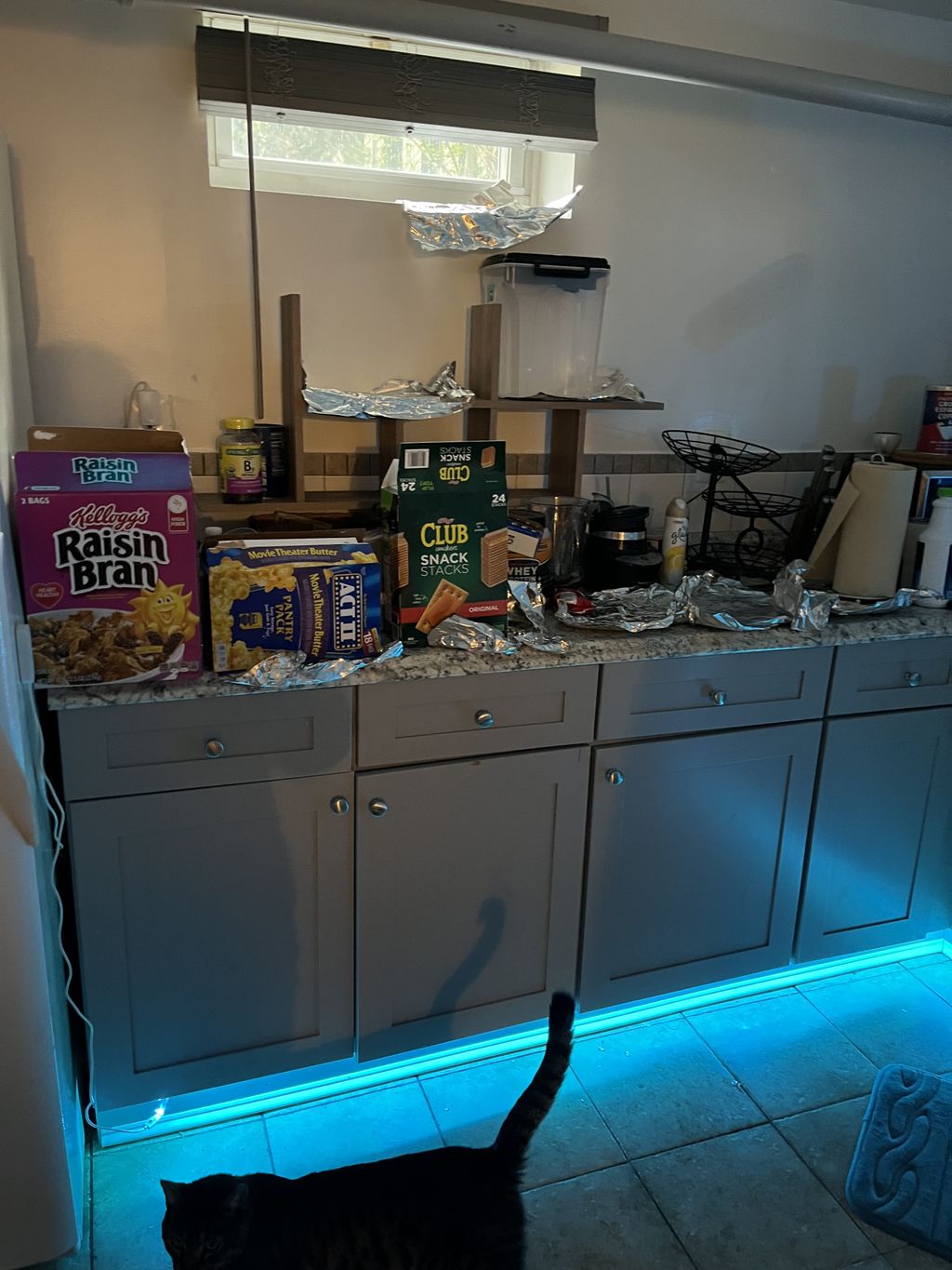 Projects and media