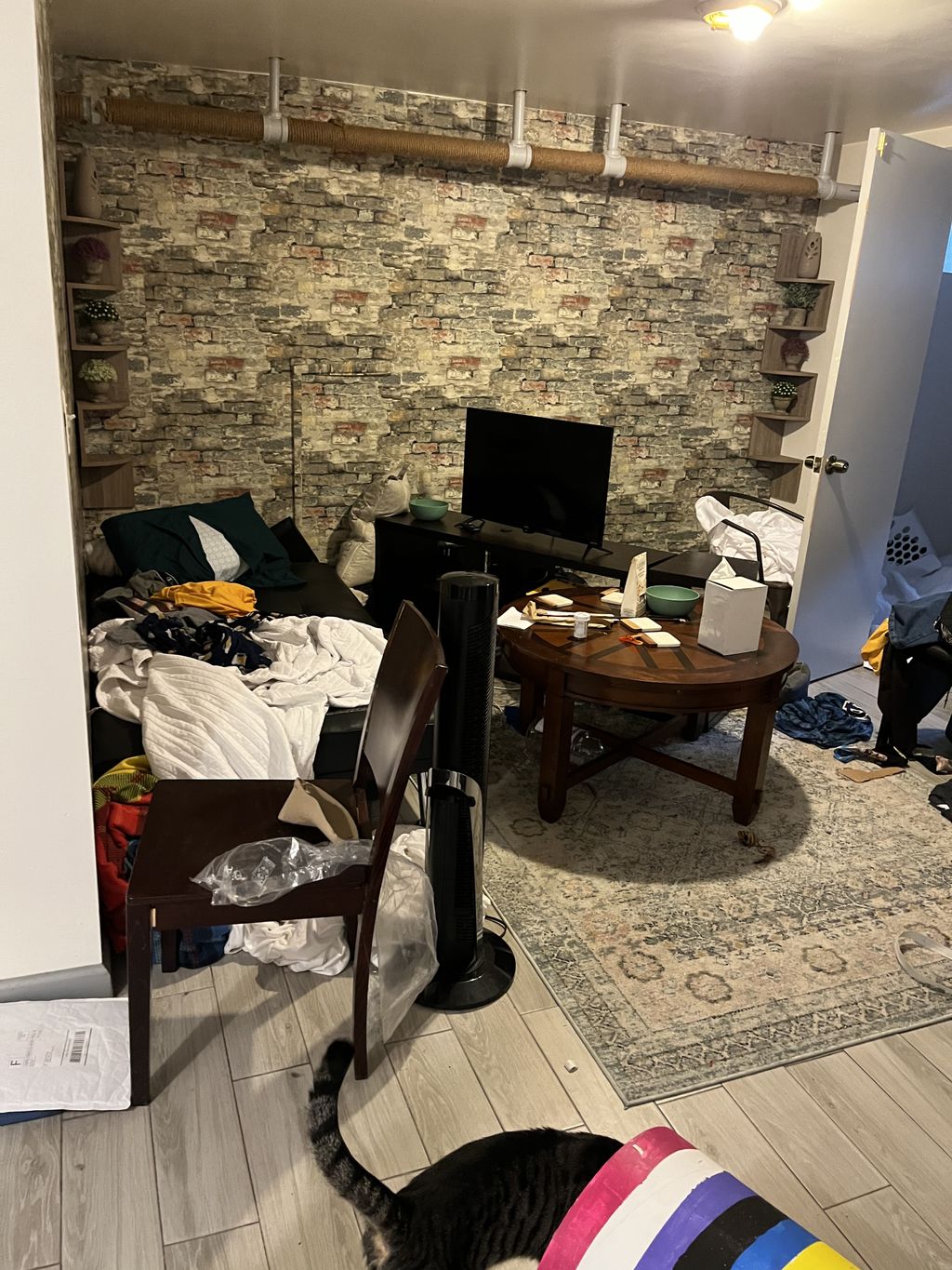 Projects and media