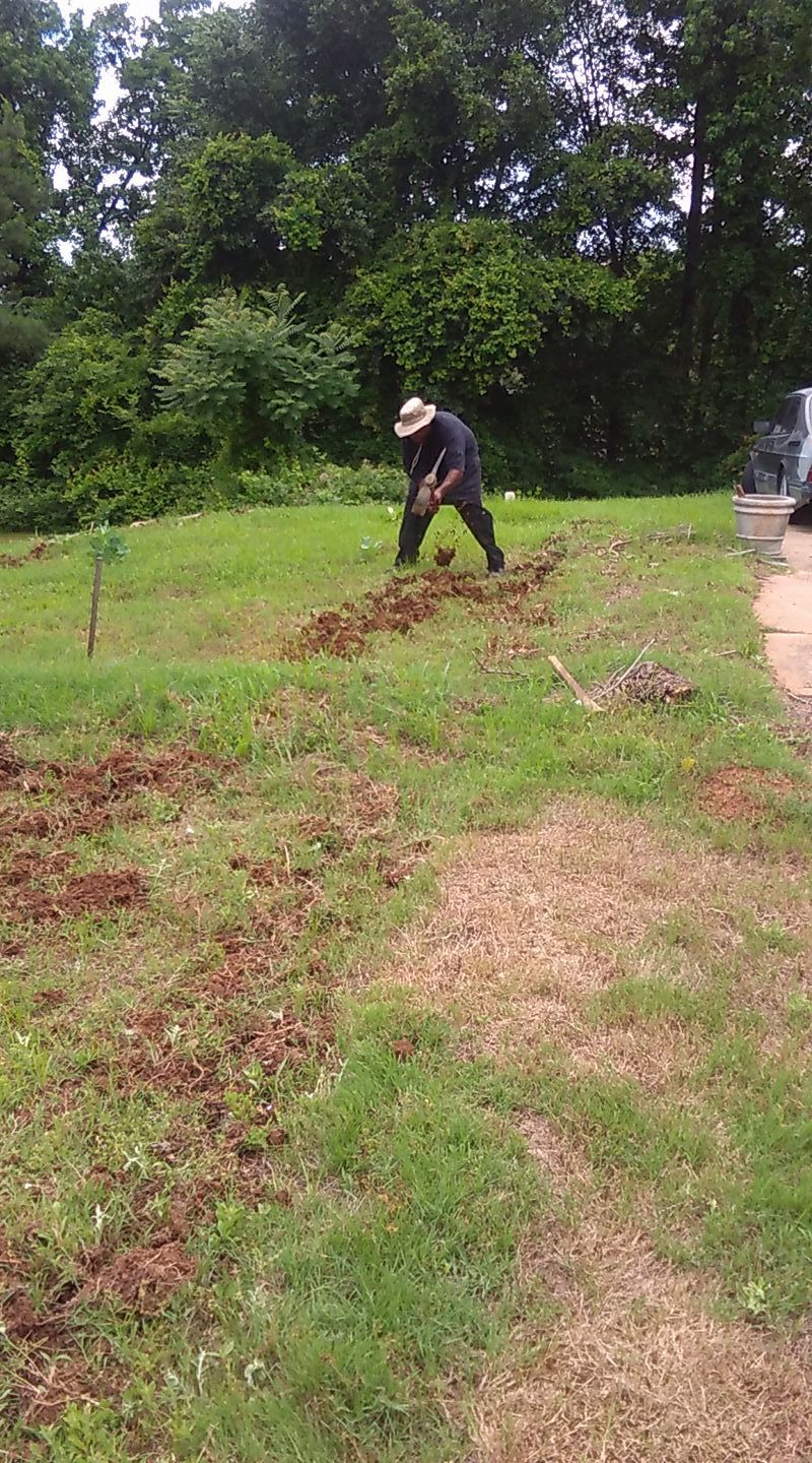 Yard Work