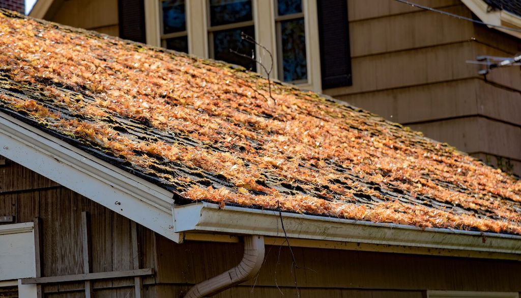 gutter blocking leaves