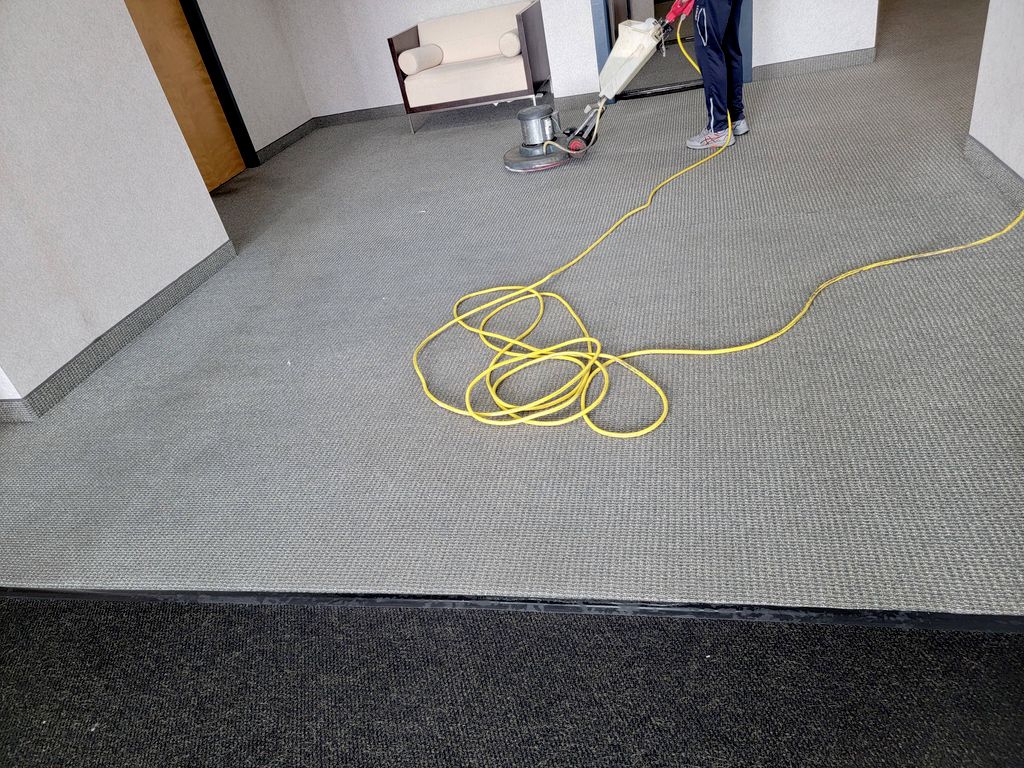 after cleaning the carpet