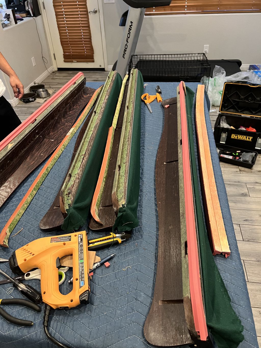 Projects and media