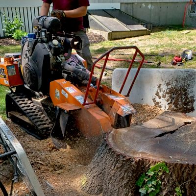 Avatar for Woodchuck Stump Grinding