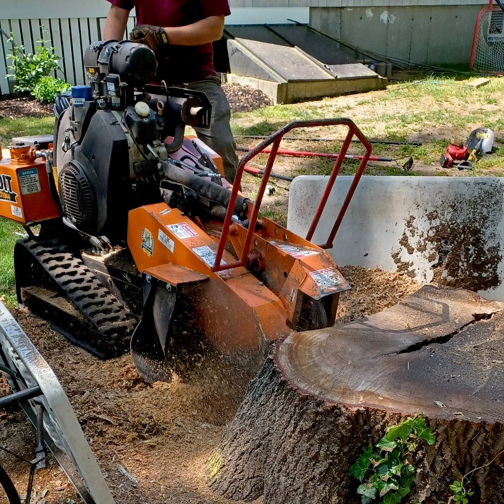 Woodchuck Stump Grinding