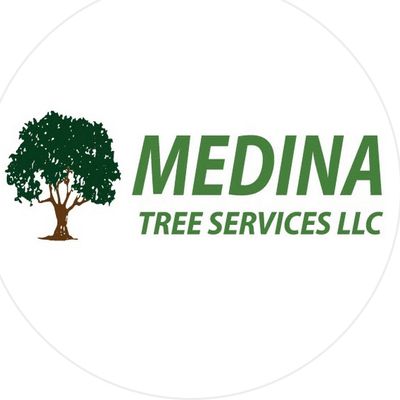 Avatar for Medina Tree Services, LLC