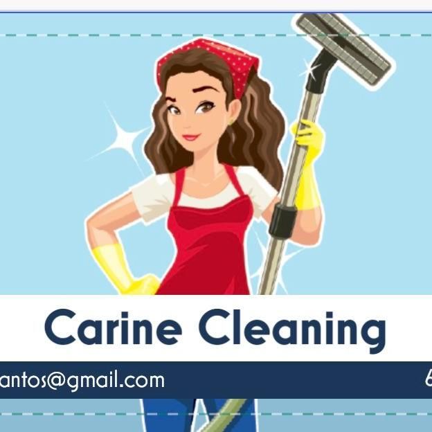Carine Cleaning