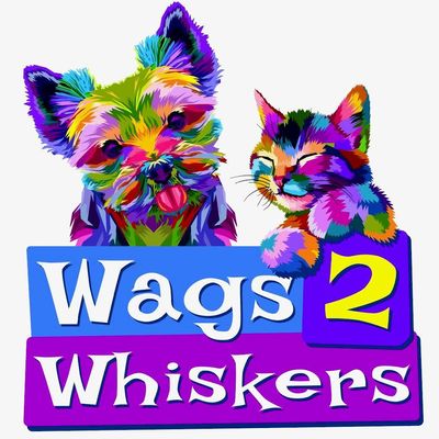 Avatar for Wags 2 Whiskers Pet Sitting, LLC
