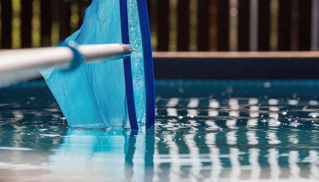 cleaning pool with net