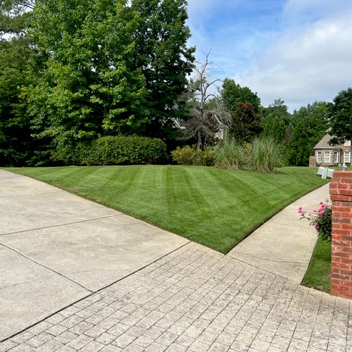 Lawn Mowing and Trimming