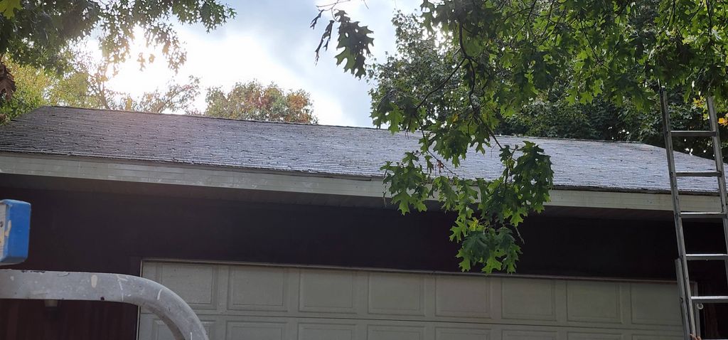 After:Looks like a new roof!!Completely free of mo