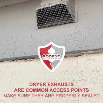 Having Rat Issues ? Call ³²³⁻⁴⁹⁹⁻³⁹¹⁶