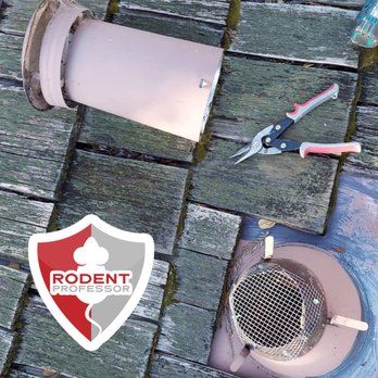 Having Rat Issues ? Call ³²³⁻⁴⁹⁹⁻³⁹¹⁶