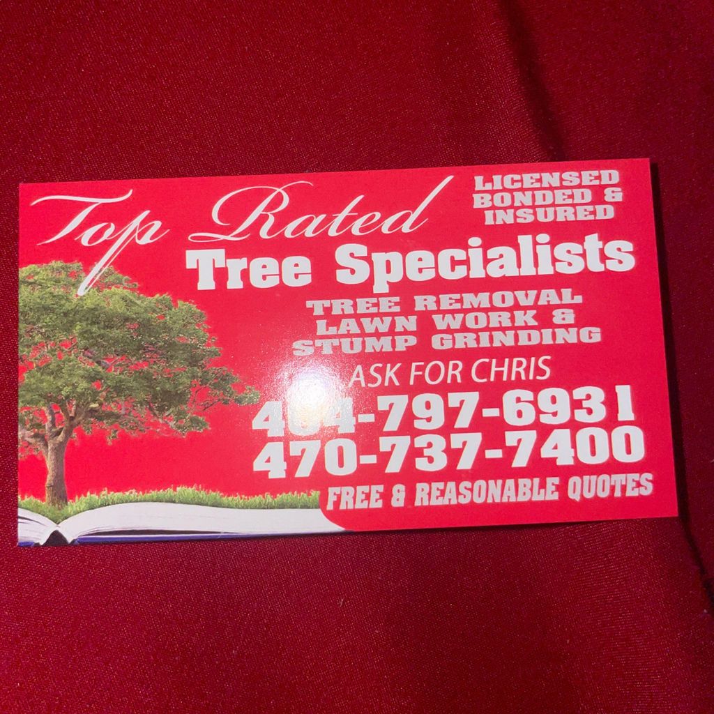 Top Rated Tree Specialist