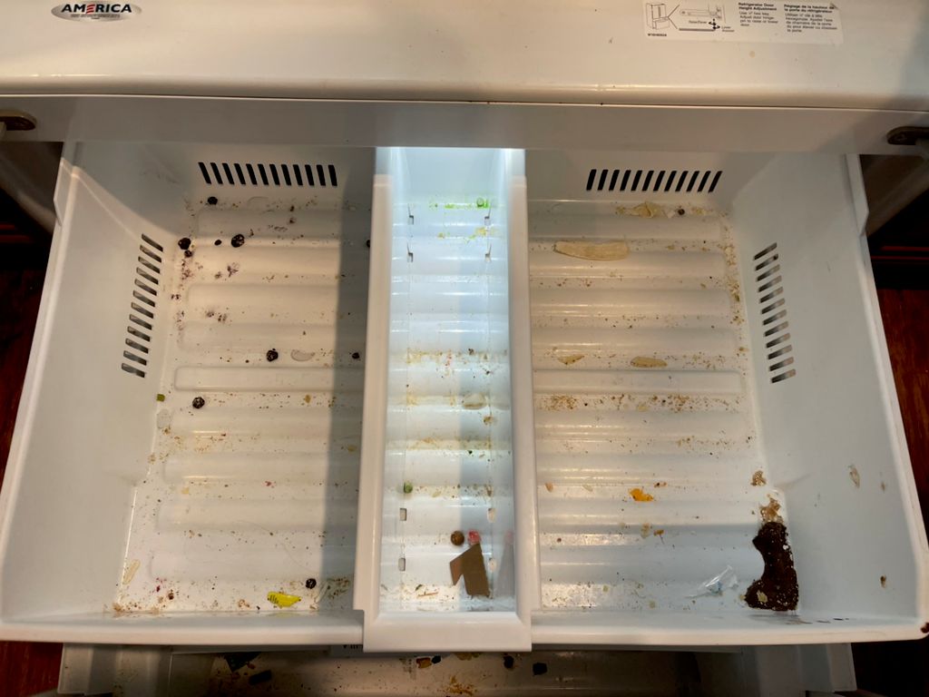 Deep clean freezer - before 