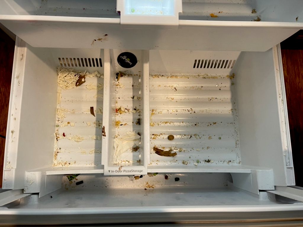 Deep clean freezer - before