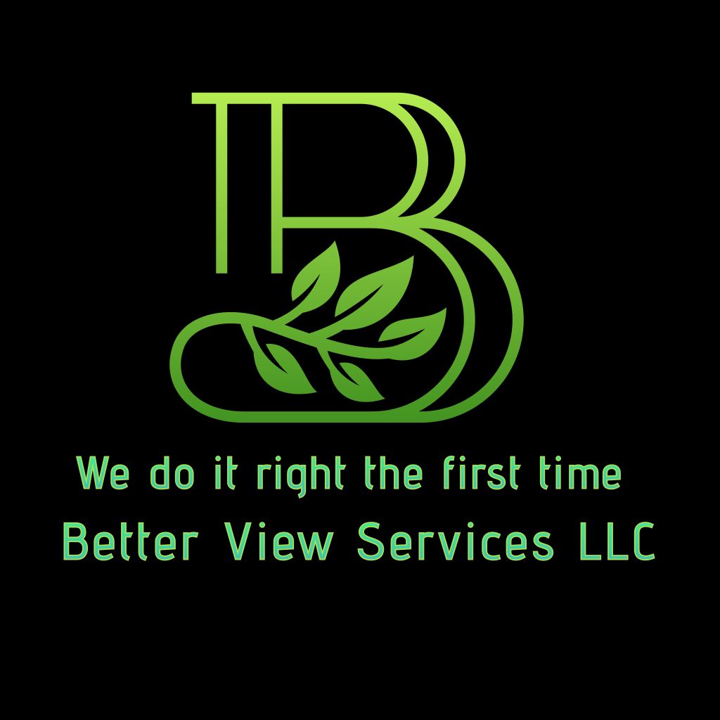 Better View Services LLC