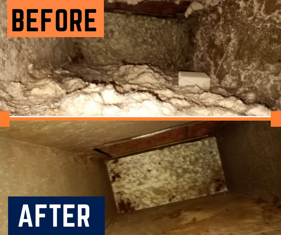 Duct Cleaning