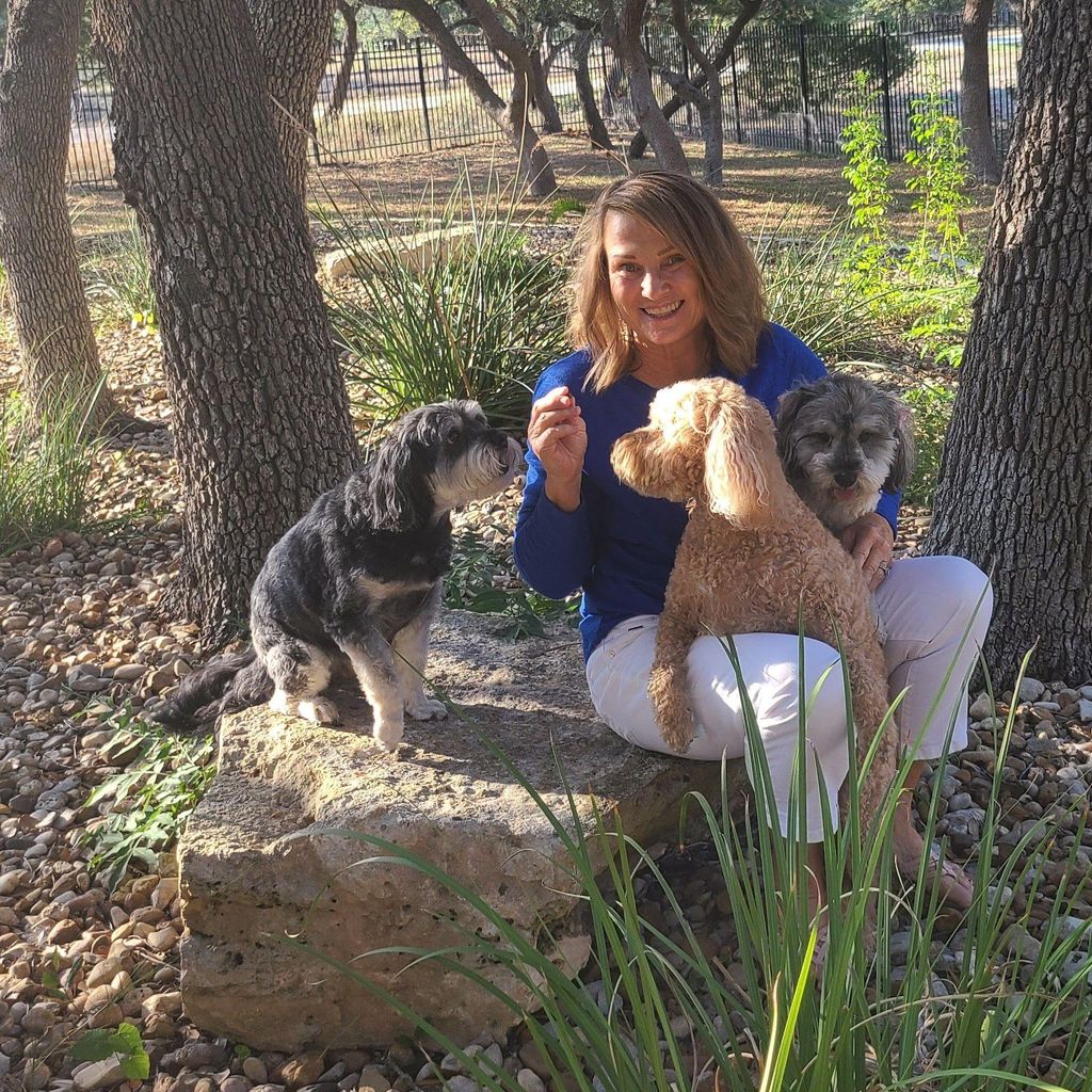Pawsitive Pup Dog Training Austin