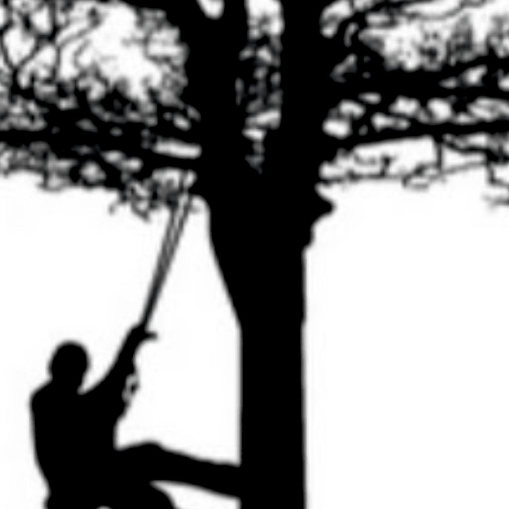 Johnson's tree Service’s LLC