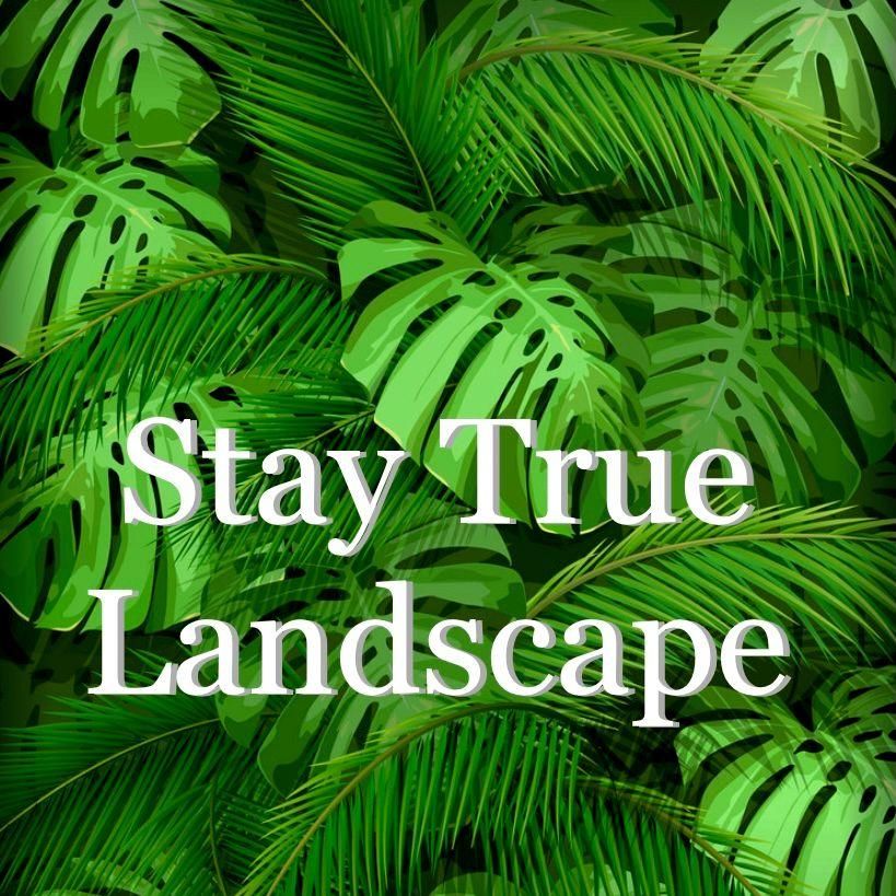 Stay true landscape