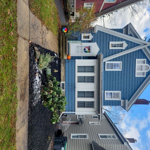 We had a cedar tree removed from the front of our 