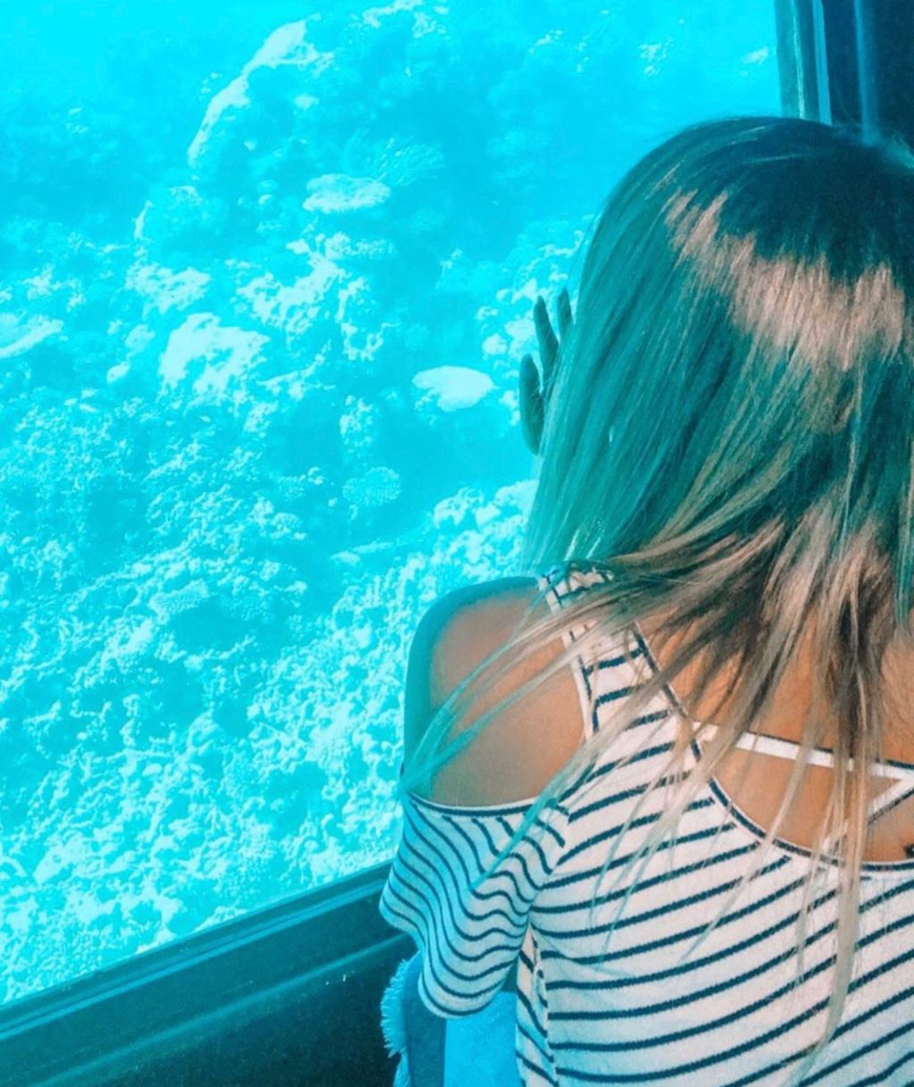 Red Sea, Egypt 