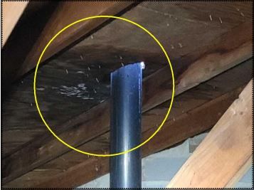 Mold growing in attic under leaking roof