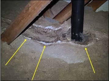 Mold growing in attic insulation