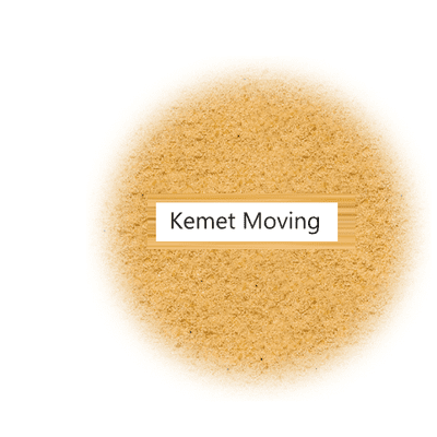 Avatar for THE KEMET COMPANY