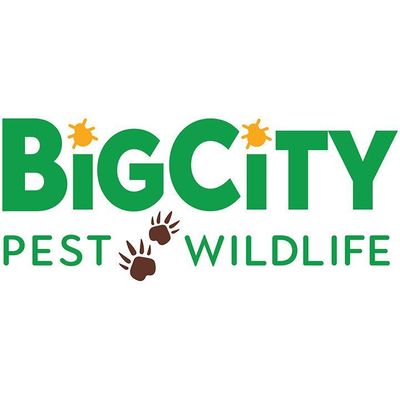 Avatar for Big City Pest and Wildlife