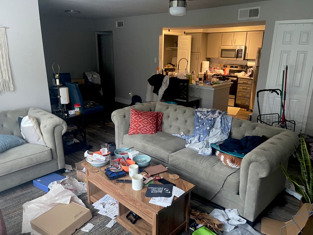 Living Room (Before)